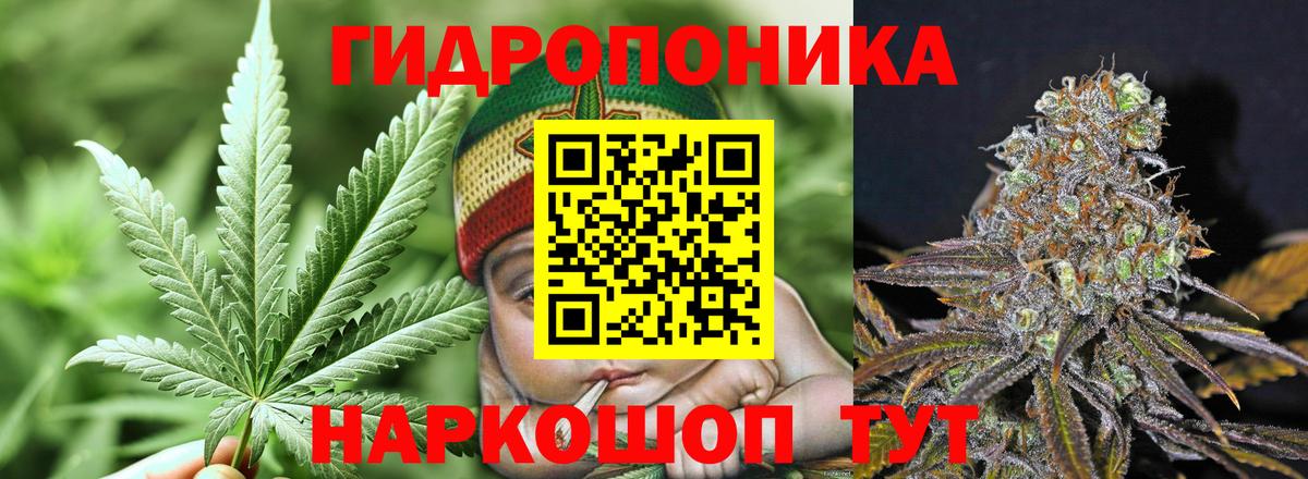 Марихуана индика  Бошки Шишки сатива  Марихуана индика  Вход с VPN  Бошки марихуана ГИДРОПОН  Ульяновск 
